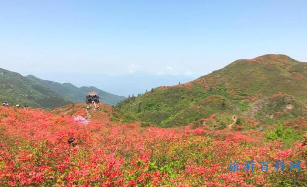 长沙十大旅游景点 湖南长沙旅游十大必去景区