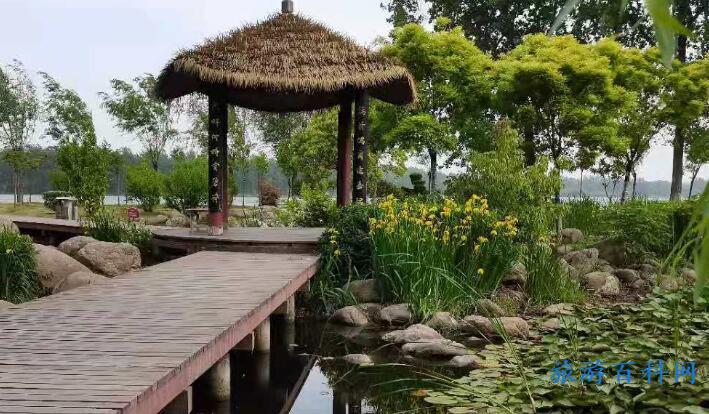 南阳十大最好玩的景点，南阳旅游景点大全简介