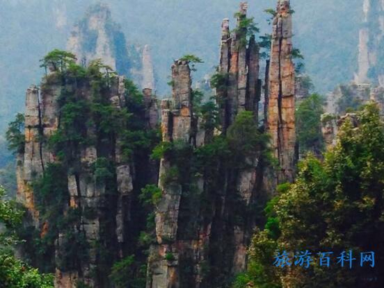 什么时候去张家界旅游最好玩