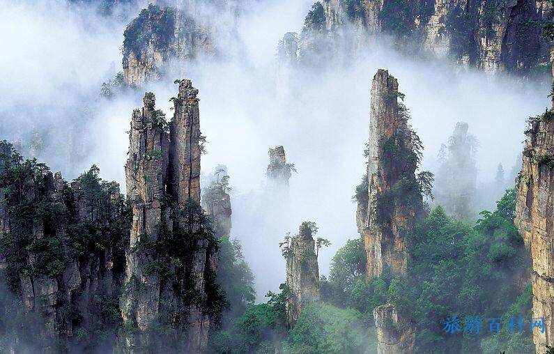 什么时候去张家界旅游最好玩