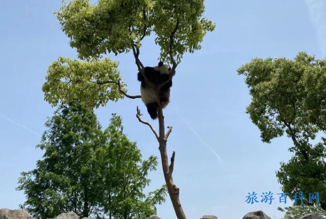 上海旅游十大必去景点，上海旅游必去景点推荐