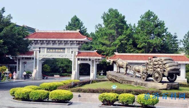 漳州旅游必去十大景点，漳州旅游必去十大景点推荐