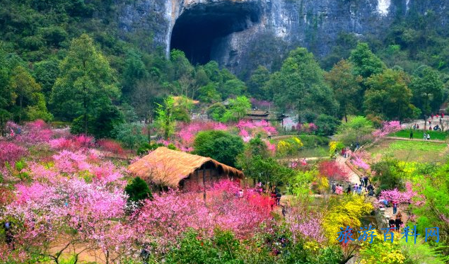 酉阳旅游景点大全
