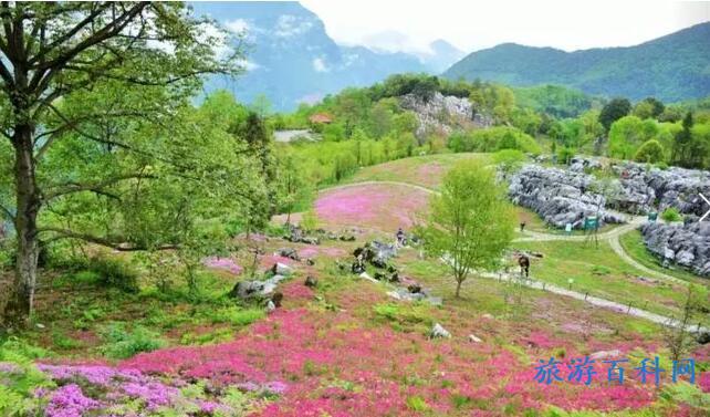 绵阳旅游必去十大景点推荐，四川绵阳十大旅游景点