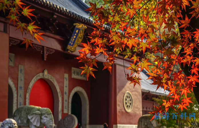 南京景点排名(南京旅游景点排名前十名)
