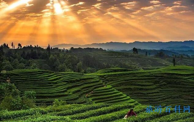 雅安旅游十大必去景点，雅安值得玩的十大景点