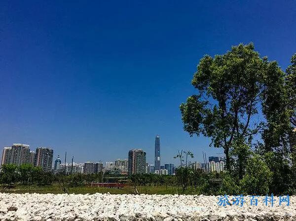 深圳旅游必去十大景点，深圳十大值得玩的地方