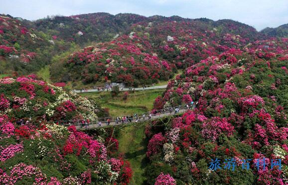 贵州十大旅游景点排名(贵州旅游区景点排名)