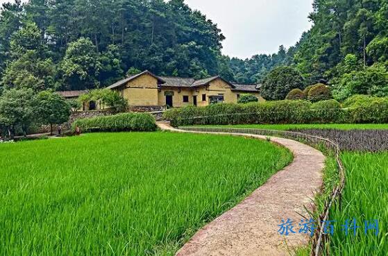 从渑池县城到哪坐公交车能到渑池韶山