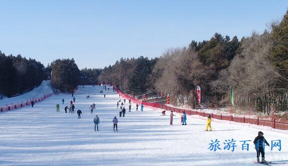 长春旅游攻略必去景点