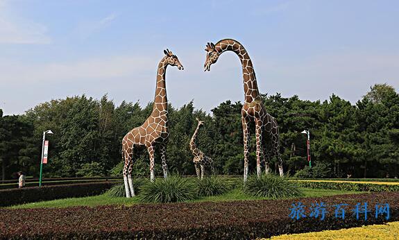 长春旅游攻略必去景点