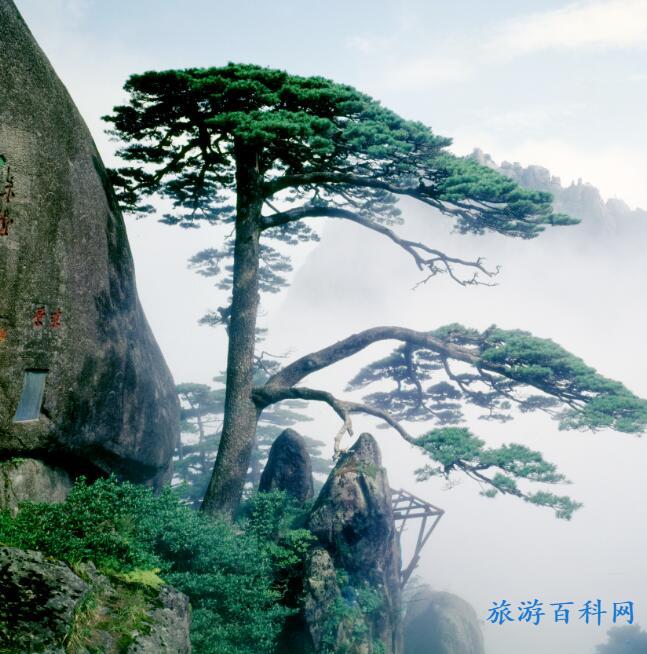 安徽旅游必去十大景点，安徽省十大旅游景点