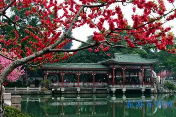 泉州旅游必去十大景点推荐，第一次来泉州必打卡10个景点