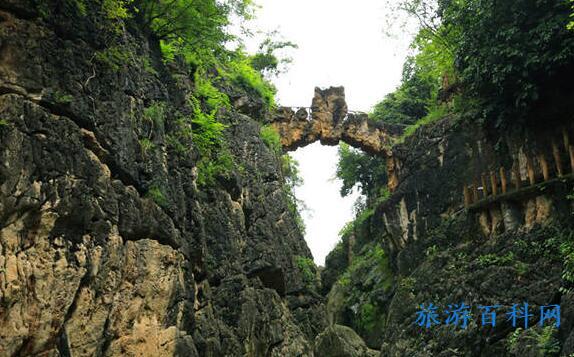 去贵州旅游最佳时间是几月份？