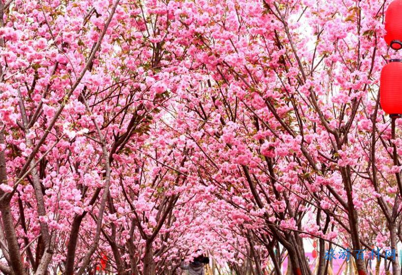 从化必去十大免费景点，从化不可错过的10大蕞美景点