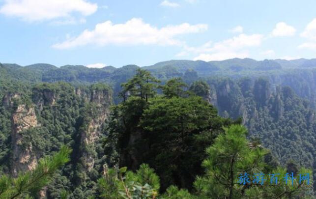 有人在携程上做过私人定制旅游么，怎么样？