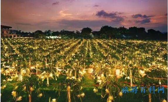 从化必去十大免费景点，从化不可错过的10大蕞美景点
