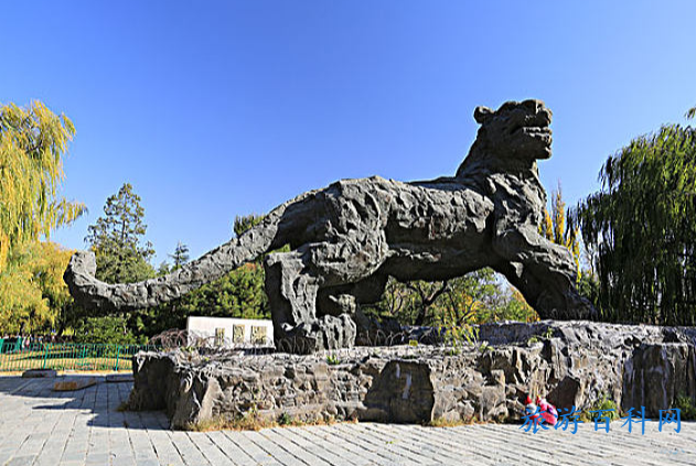 北京动物园各景点门票价格(北京动物园门票价格表)