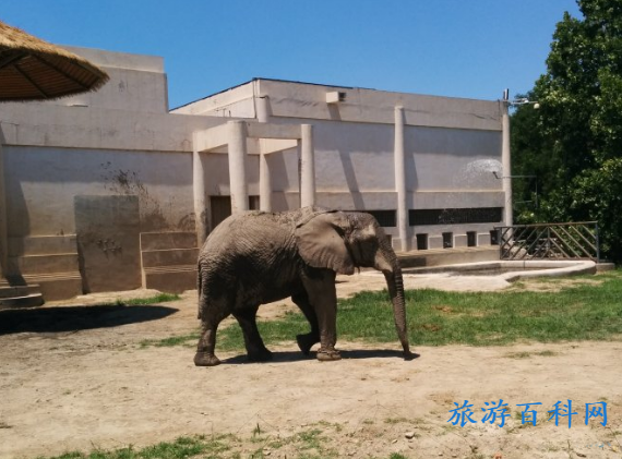 北京动物园各景点门票价格(北京动物园门票价格表)