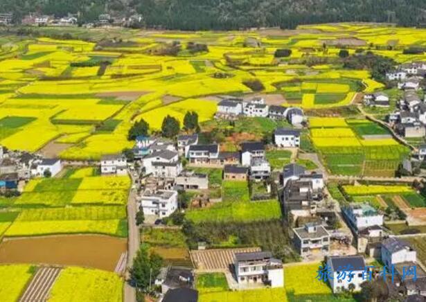 贵州旅游十大景点排名，贵州必打卡的十大旅游景点
