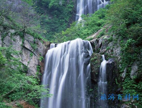 庐山瀑布景点介绍(庐山瀑布的景点)