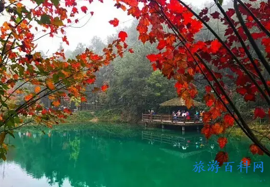 重庆高新区景点推荐