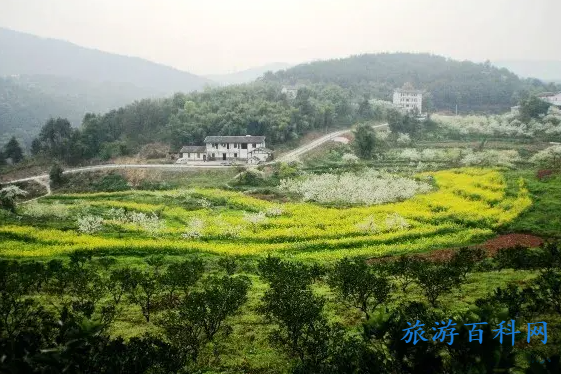 重庆高新区景点推荐