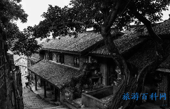 重庆高新区景点推荐