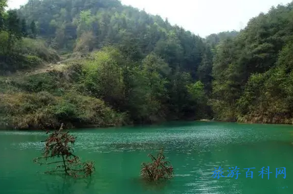 重庆高新区景点推荐