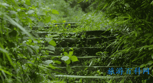 重庆高新区景点推荐