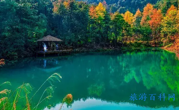 重庆高新区景点推荐