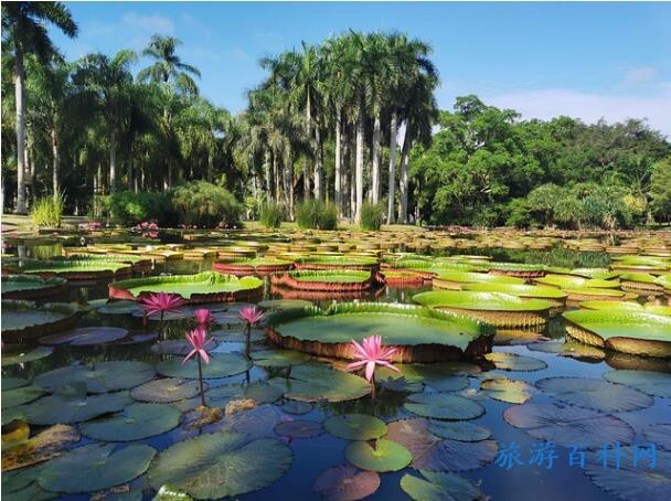 云南必去的十大旅游景点，云南值得打卡的十个景点