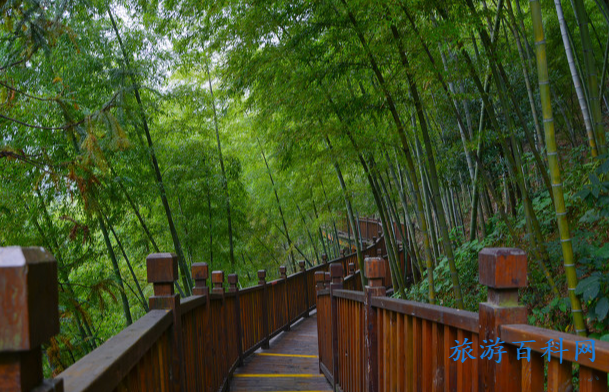 宜兴景点安排(宜兴市旅游景点推荐)