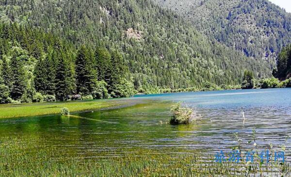 九寨沟必游15个景点(九寨沟旅游必去十大景点)