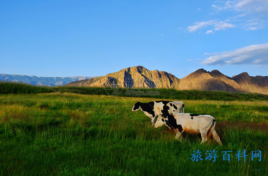 新疆巴里坤景点在哪里(巴里坤旅游景点必去的地方)