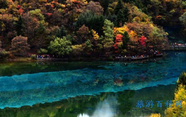 九寨沟必游15个景点(九寨沟旅游必去十大景点)