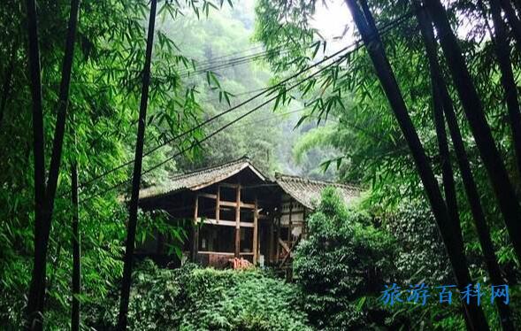 10月成都周边旅游景点大全(11月成都周边一日游景点大全)