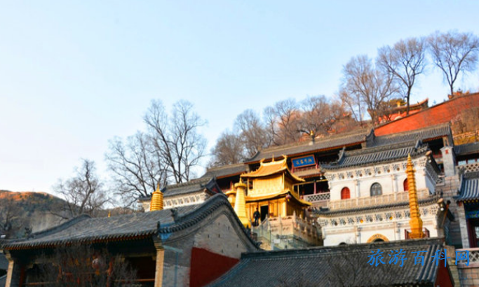 五台山的门票是多少？有没有学生票，老人票？