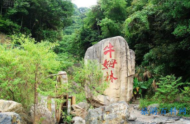 永春一日游必去景点