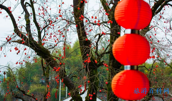 余姚市免收费旅游景点(余姚周围13个景区免费在哪里)