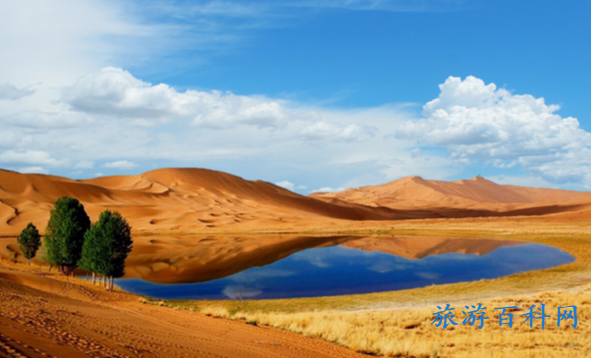 叶城县旅游景点介绍(叶城县旅游景点介绍知识)