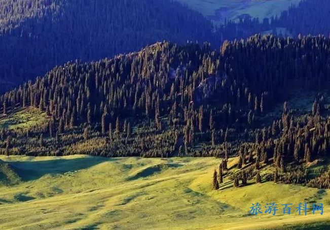 天山北麓景点(天山北麓景点介绍)