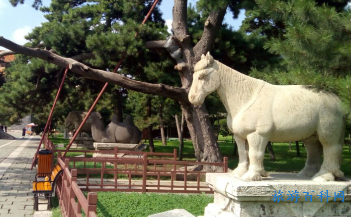 北陵公园门票，季度票多少？