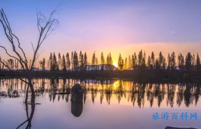 云南十大旅游景点(云南十大旅游景点排名)