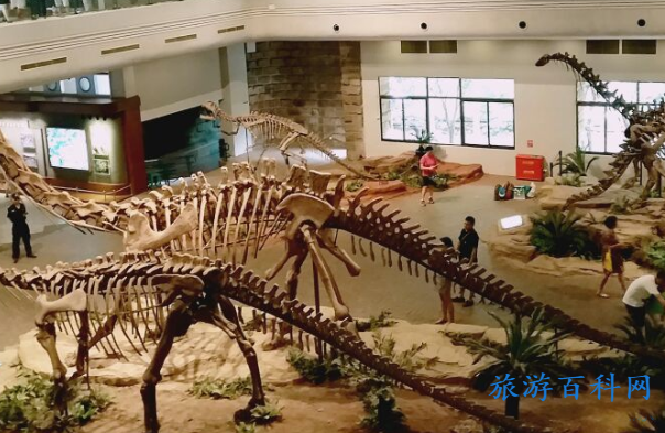 自贡最好玩的旅游景点有哪些 四川自贡旅游攻略