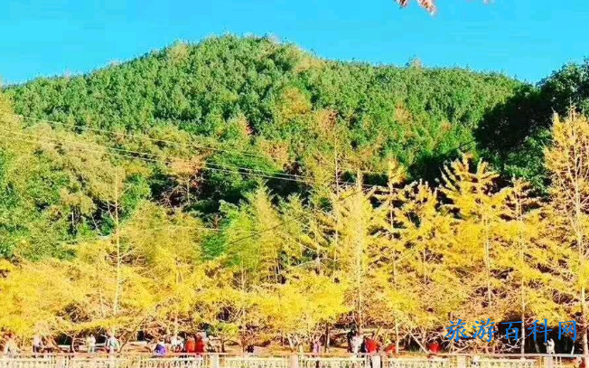 韶关十大景点排名榜(韶关十大旅游景点排名榜)