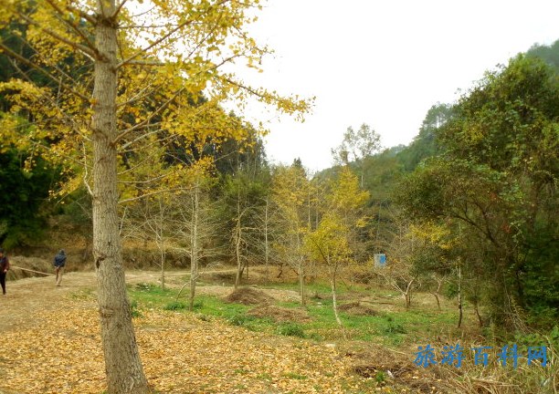 韶关十大景点排名榜(韶关十大旅游景点排名榜)