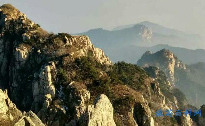 在网上可以买到单独的泰山门票吗？