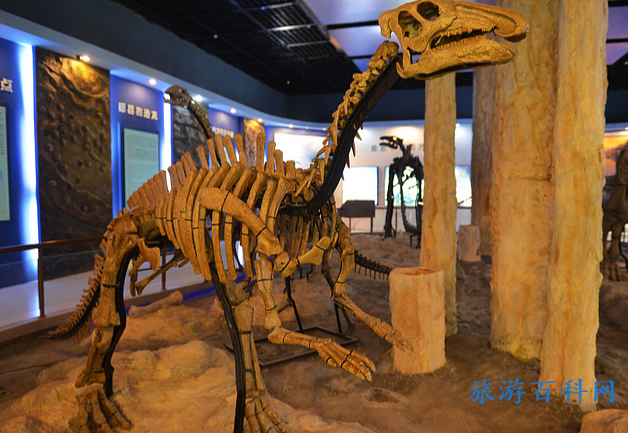 十堰必去旅游景点(十堰市内旅游攻略景点必去)