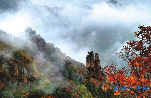 河南山旅游景点简介(河南山景点有哪些)